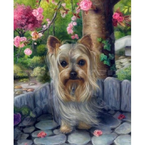 Cute Yorkshire Terrier Diamond Painting
