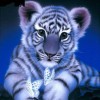 Cute Cartoons DIY Diamond Paintings