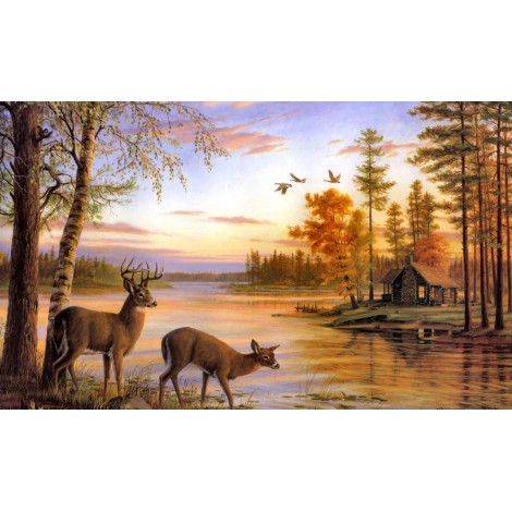 Cute Buck & Doe Pair Drinking Water