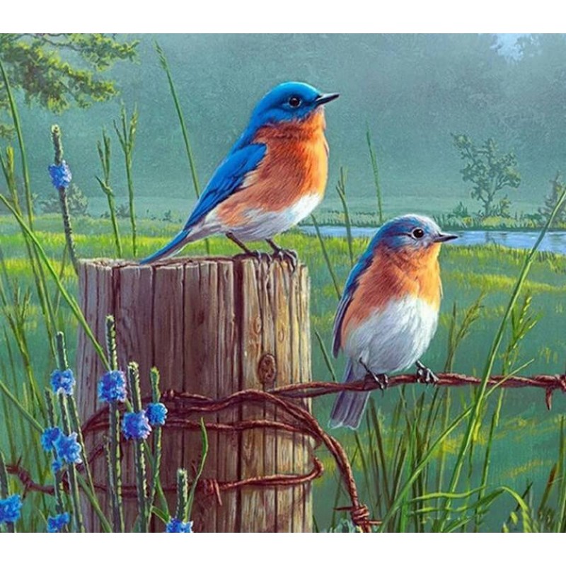 Birds on Fence Diamo...