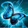 Butterfly Diamond Painting Kit