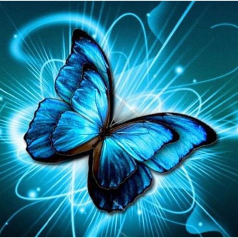 Butterfly Diamond Pa...