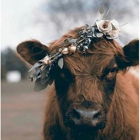 Cow Wearing Flowers Crown