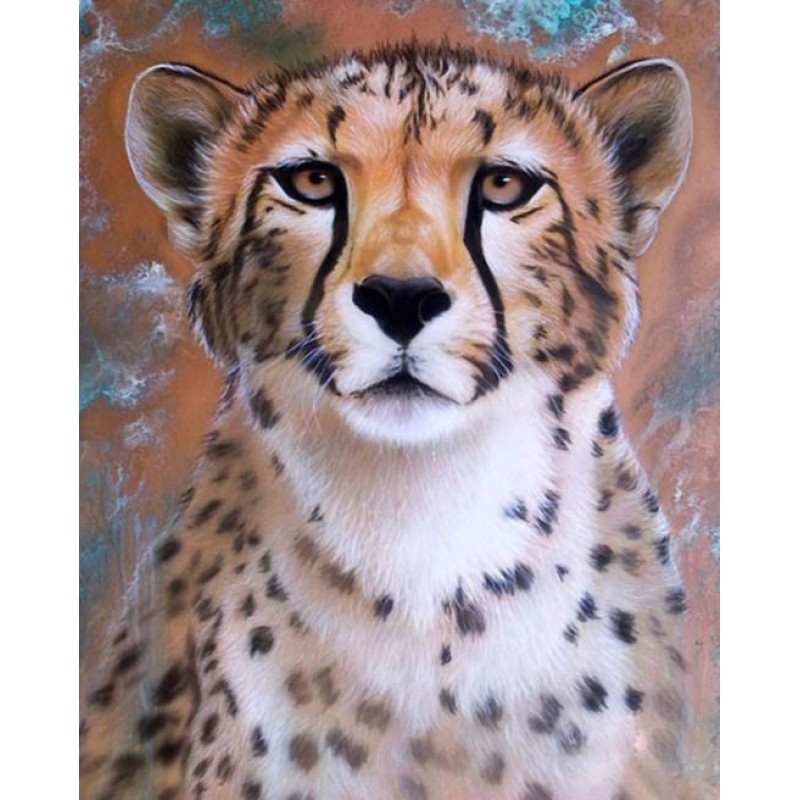 Copper Flash Cheetah