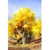 Colorful Trees DIY Diamond Paintings