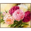 Colorful Peony Flower