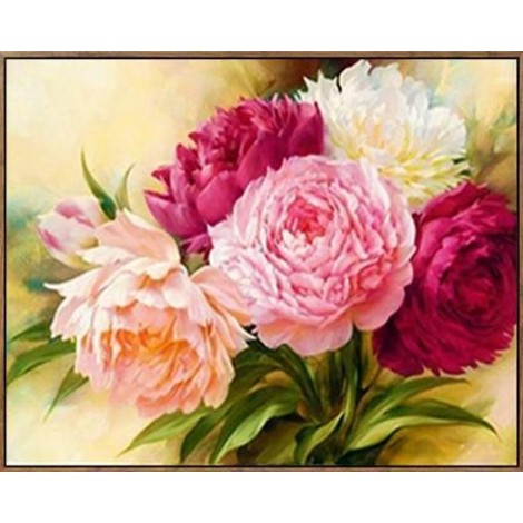 Colorful Peony Flower