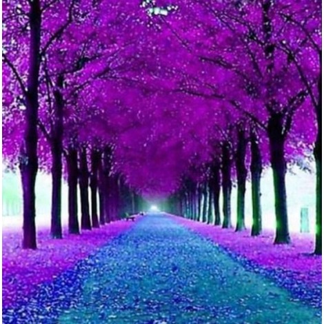 Beautiful Trees Pathway