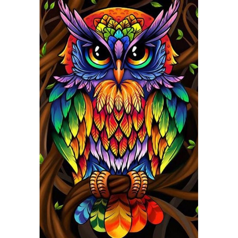Colorful Owl DIY Pai...