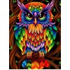 Colorful Owl - Paint by Diamonds