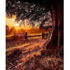 Beautiful Sunrise Paint by Diamonds