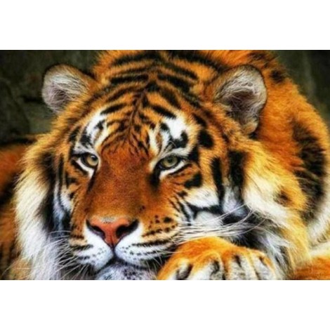 Adorable Tiger Diamond Painting