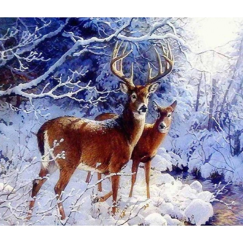 Beautiful Deer Pair in Sn...