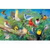 Collection of Birds DIY Diamond Painting