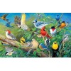 Collection of Birds DIY Diamond Painting