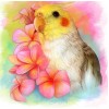 Cockatiel Parrot & Flowers