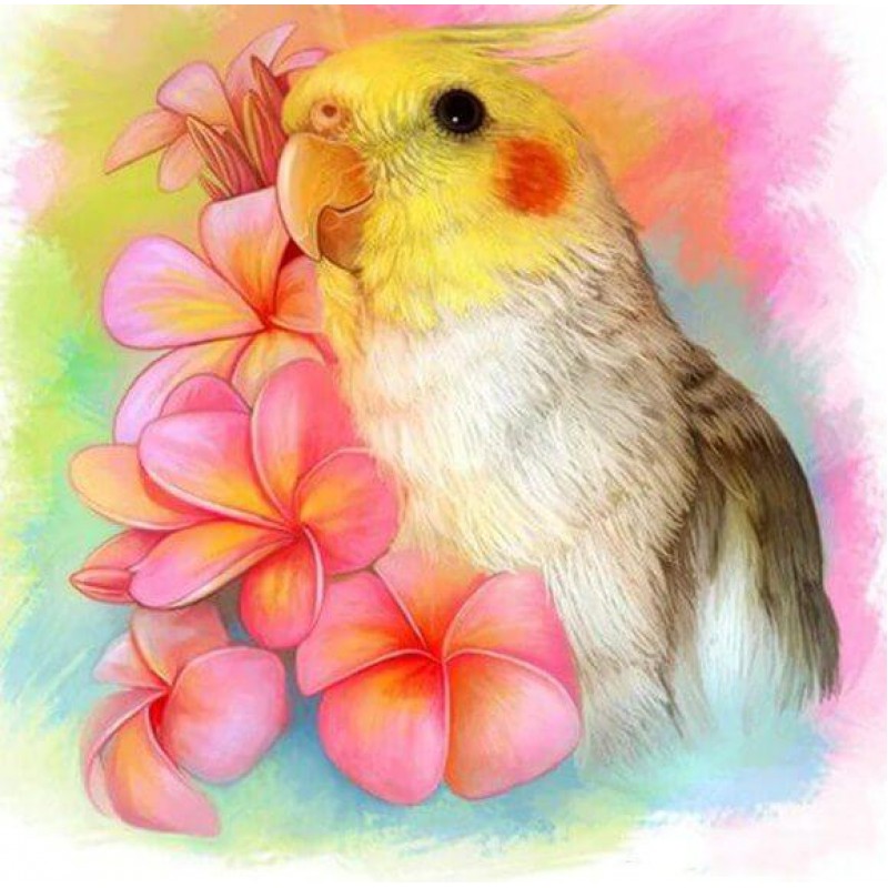 Cockatiel Parrot &am...