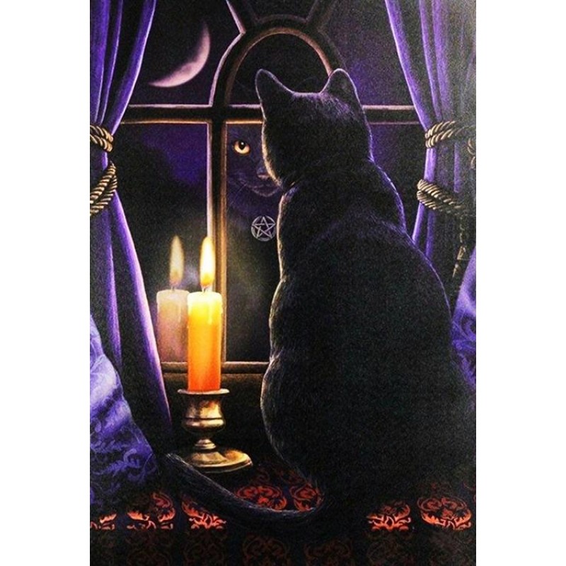Black Cat & Candle in...