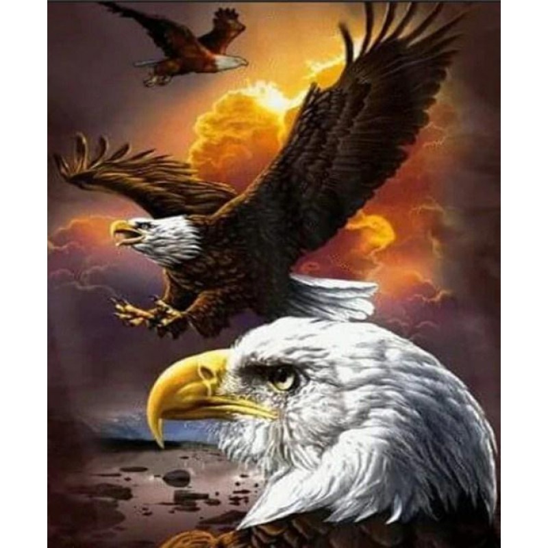 Angry Bald Eagle - Paint ...