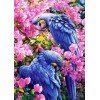 Blue Parrots on Pink Branches