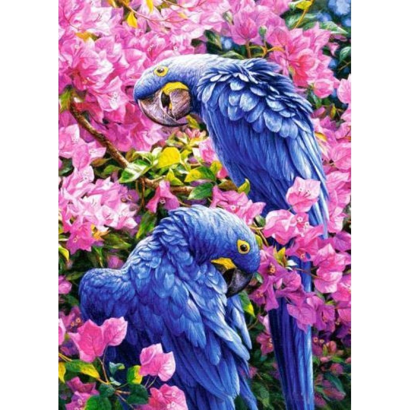Blue Parrots on Pink...