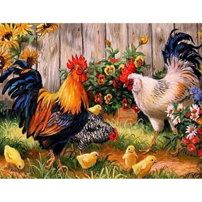 Chickens on the Farm