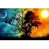 Change of Day & Night
