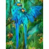 Blue African Parrots Pair
