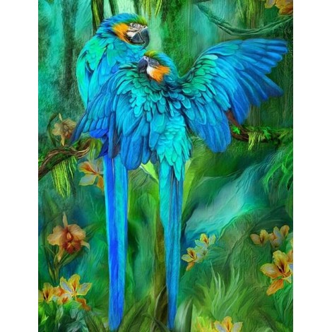 Blue African Parrots Pair