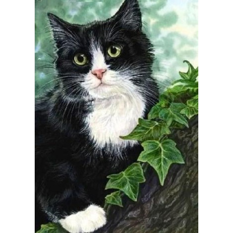Black Cat on Tree
