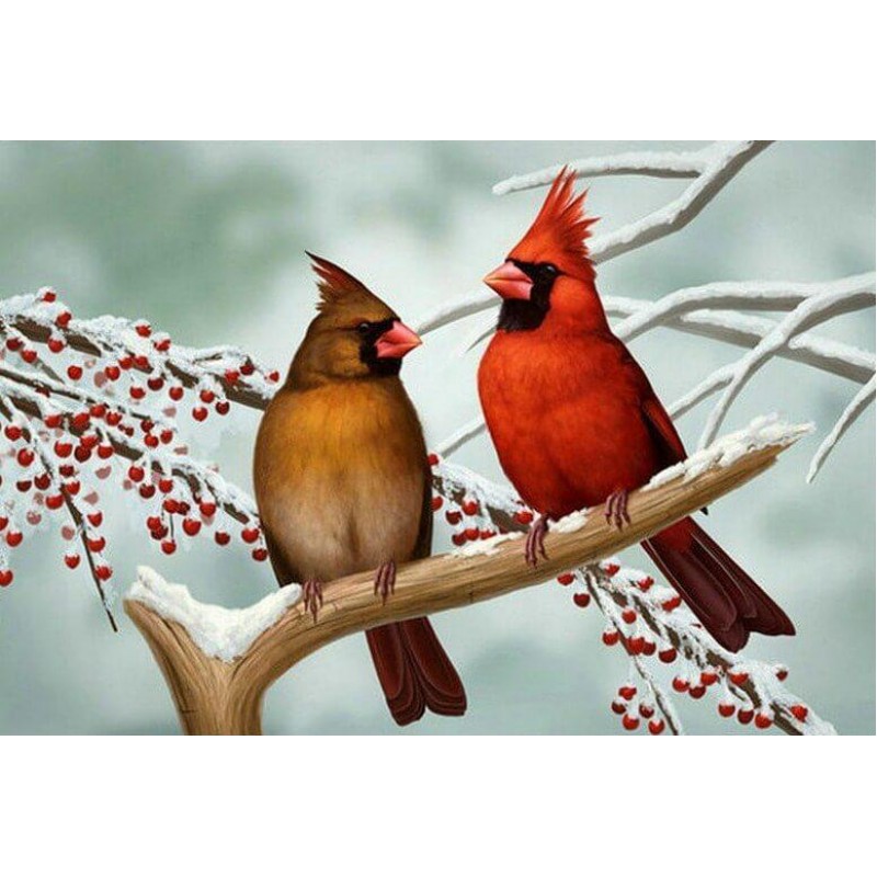 Cardinals Pair Diamo...