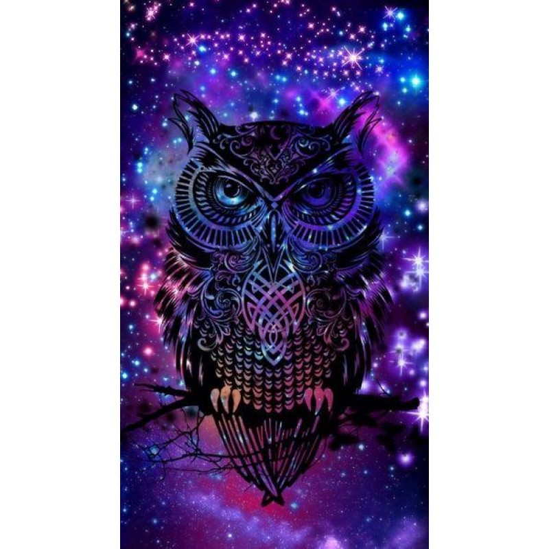 Artistic Owl DIY Dia...