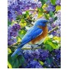 Bird Sitting in Lavender