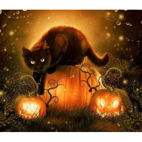 Black Cat & Halloween Pumpkins