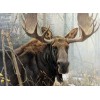 Bull Moose - Paint with Diamonds