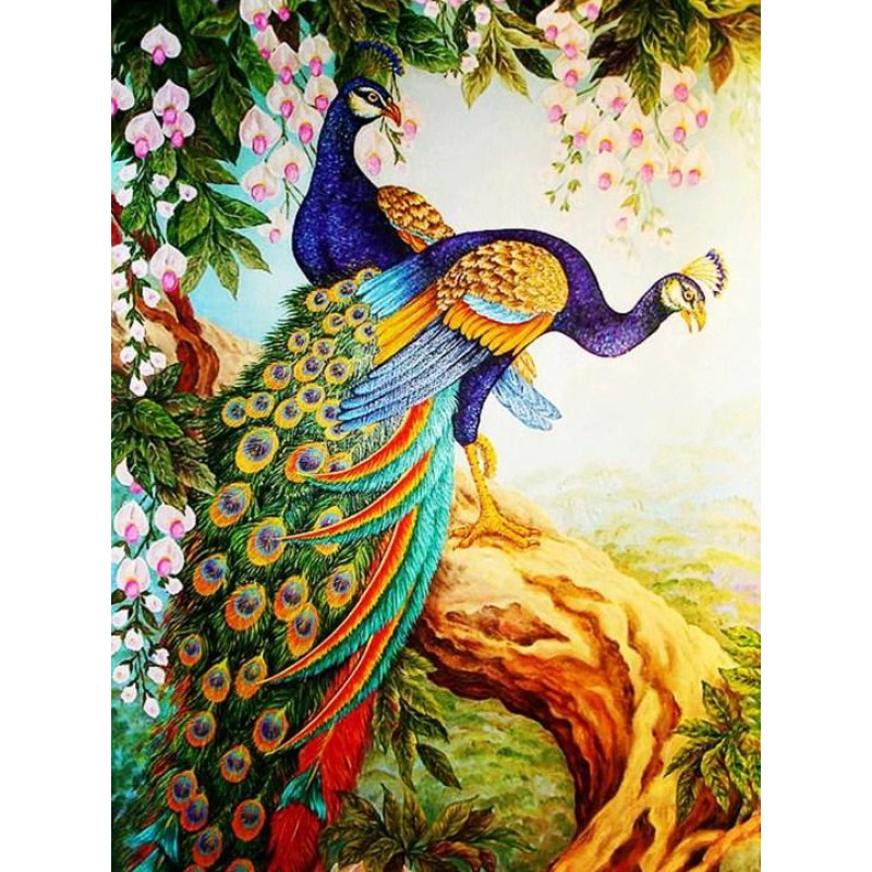 Beautiful Peafowl Pa...