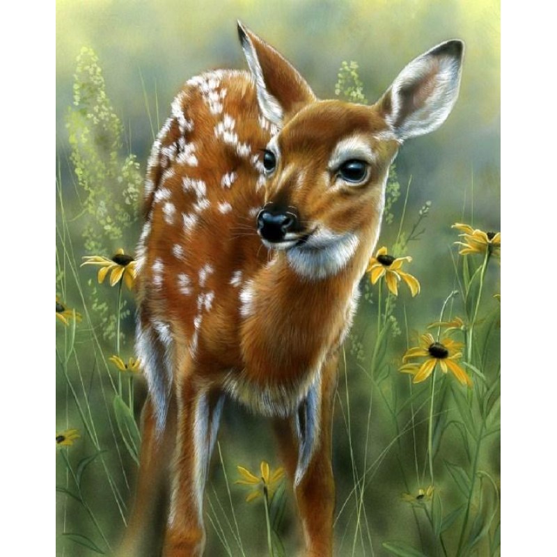 Adorable Baby Deer - Pain...
