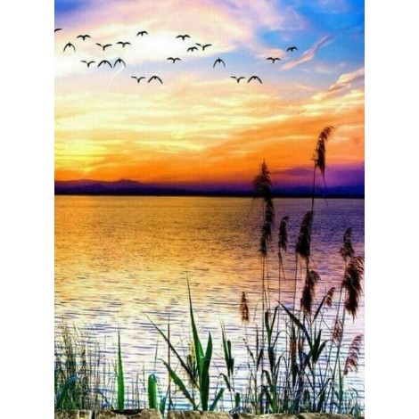Birds Coming Back to Homes