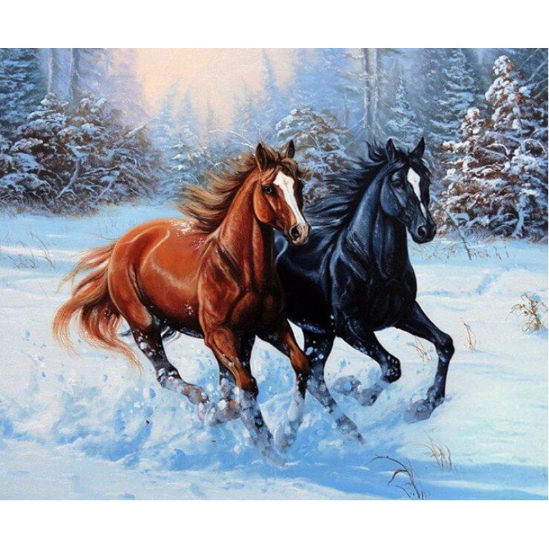 Black & Brown Horses...