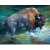 Bison in Water - Paint by Diamonds