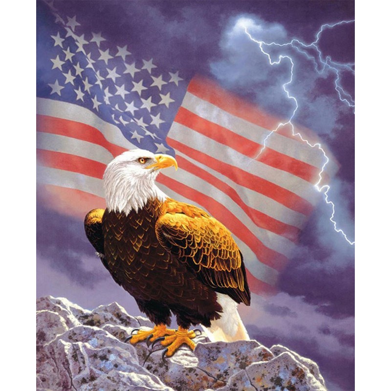 American Flag & Eagle...