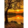 Autumn Evening & Setting Sun