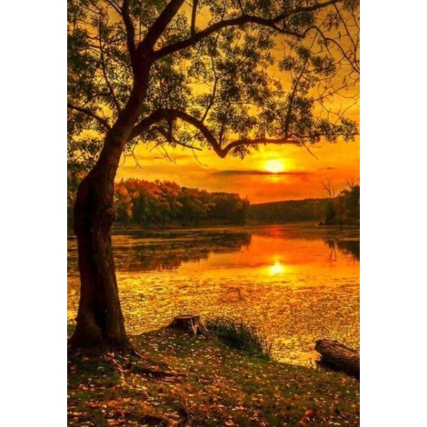Autumn Evening & Setting Sun