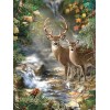 Amazing Forest DIY Painting Collection