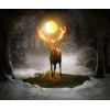 Amazing Forest DIY Painting Collection