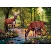 Amazing Forest DIY Painting Collection