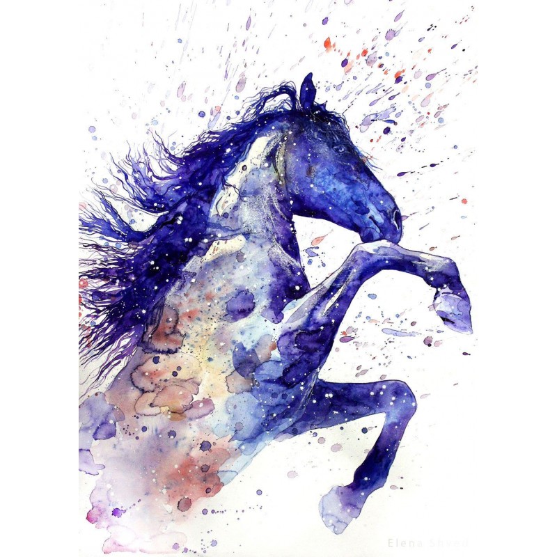 Alluring Horse - Paint by...
