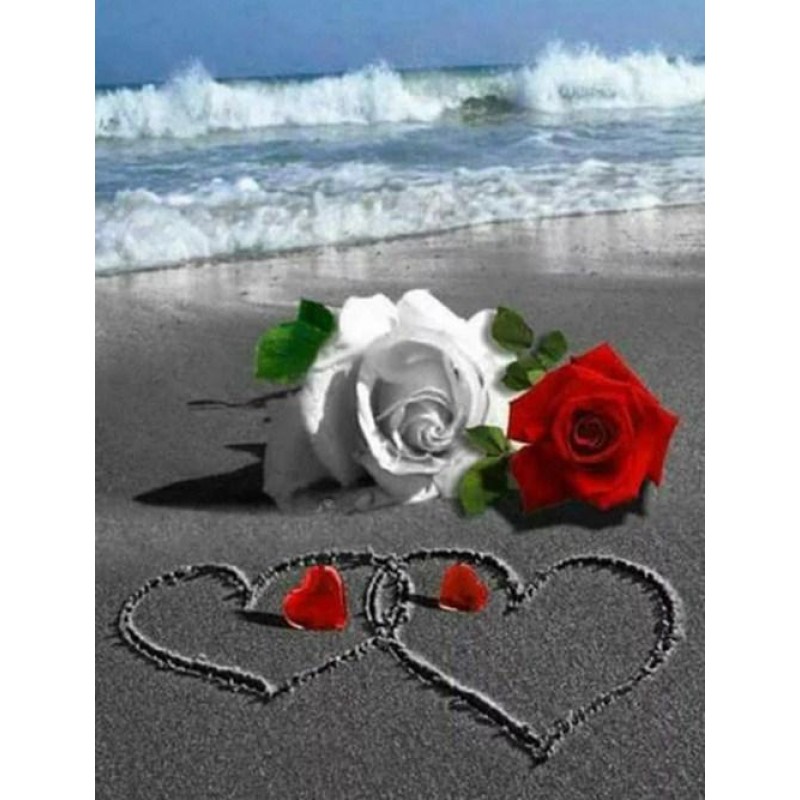 Beach Roses Diamond Paint...
