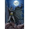 Batman - The Super Hero