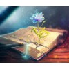 Abstract Book - Paint by Diamonds